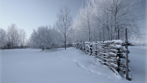 Country Rail Fence Winter wallpaper